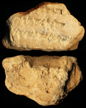 N6699