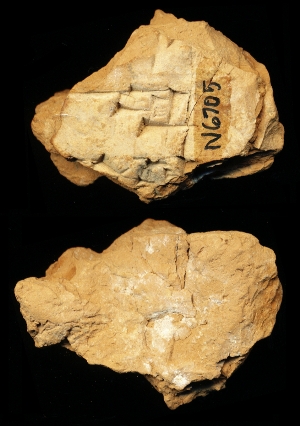 N6705