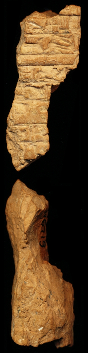 N6719