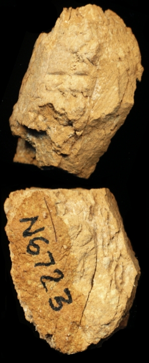 N6723