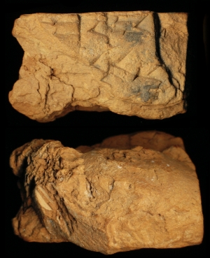N6724
