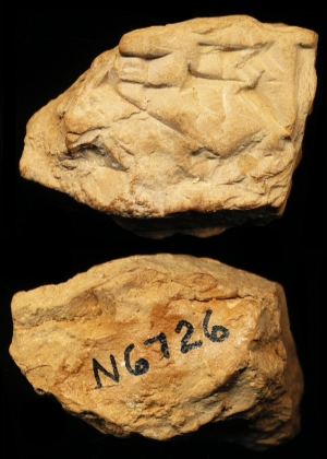 N6726