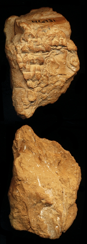 N6731