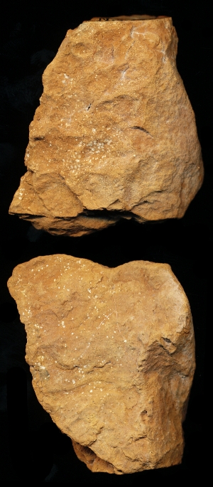 N6732