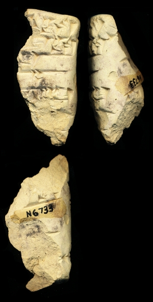 N6733
