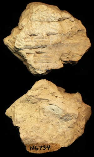 N6734
