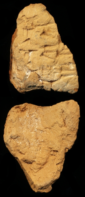 N6736