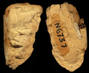 N6737
