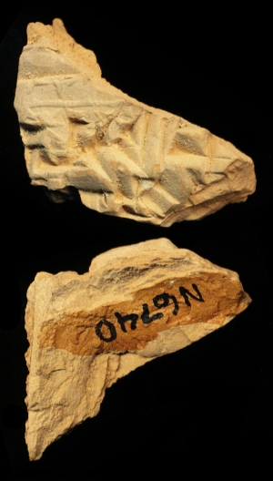 N6740