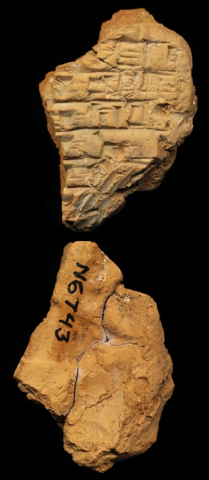 N6743