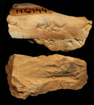 N6744