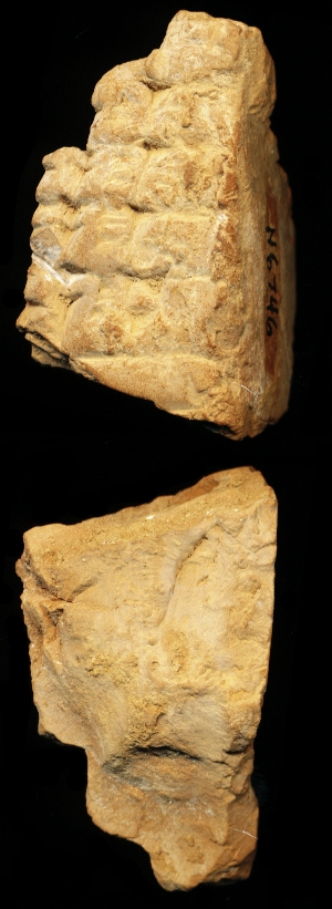 N6746