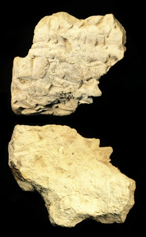 N6752