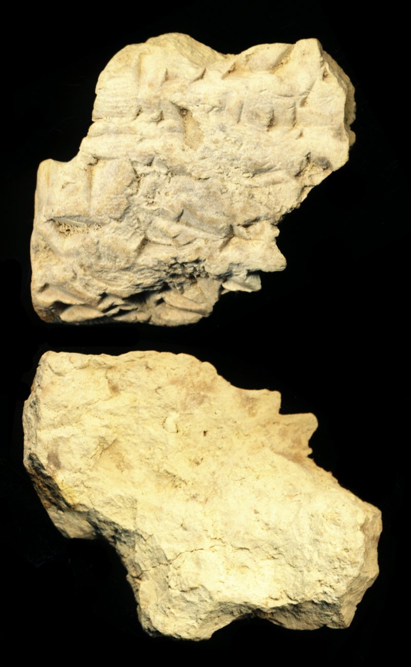 809711