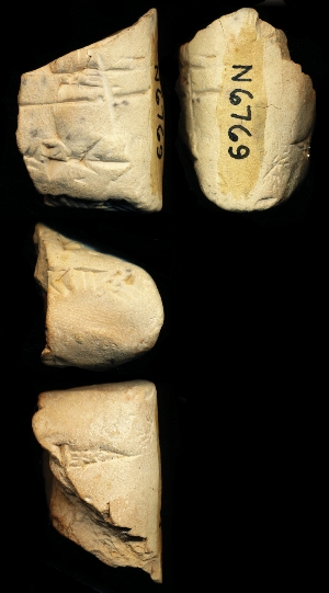 N6769
