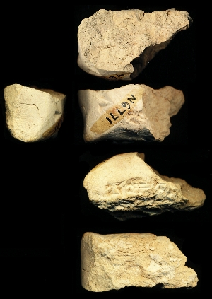 N6771