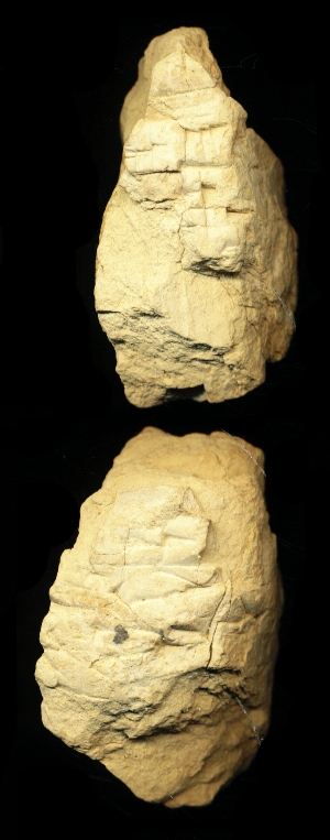 N6777