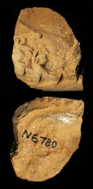 N6780