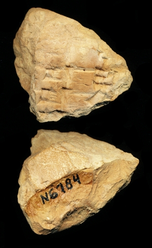 N6784