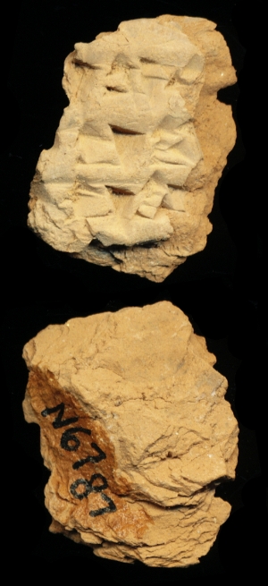 N6787