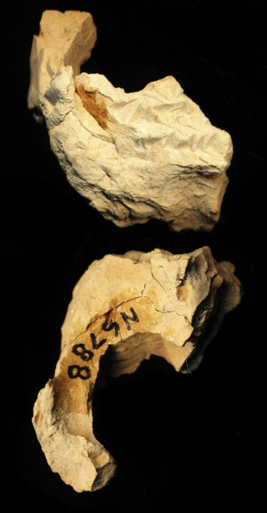 N6788