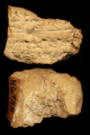 N6789