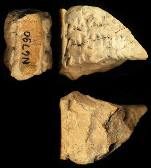 N6790