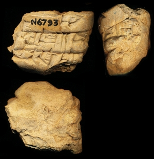 N6793