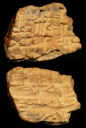 N6795