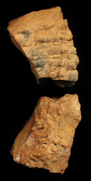 N6796