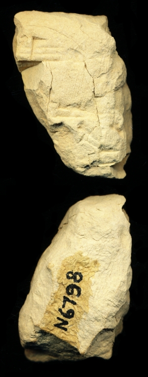 N6798