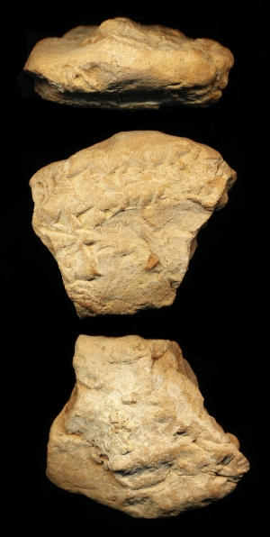 N6804