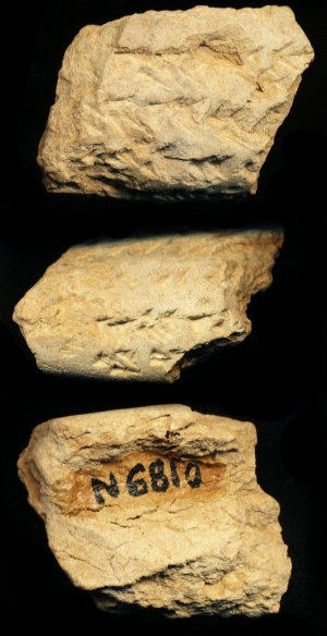 N6810