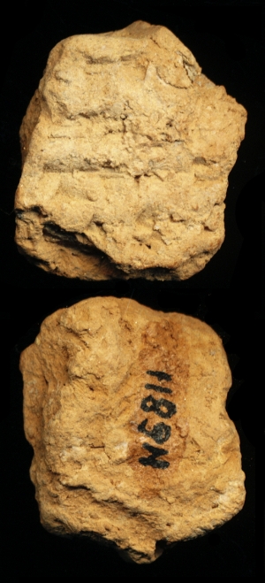 N6811