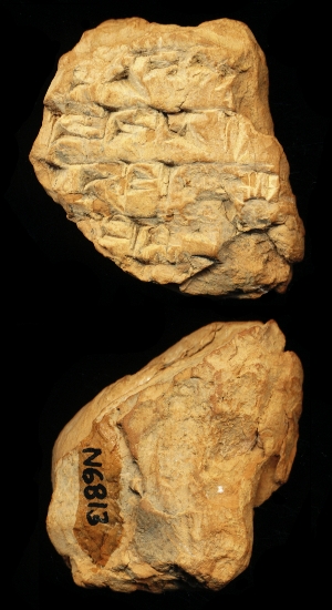 N6813