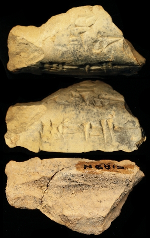 N6815