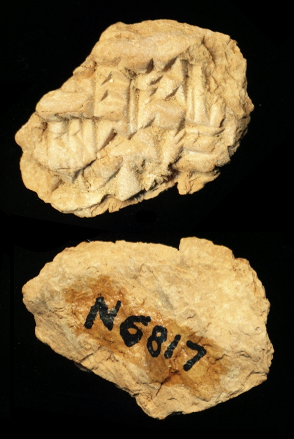 809763
