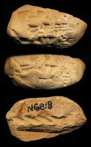 N6818