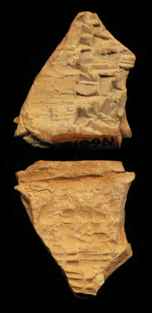 N6819