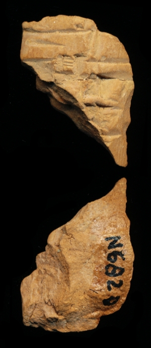 N6820