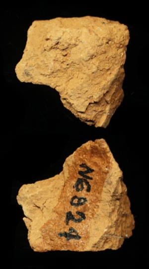 N6824