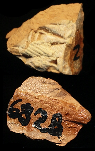 809773