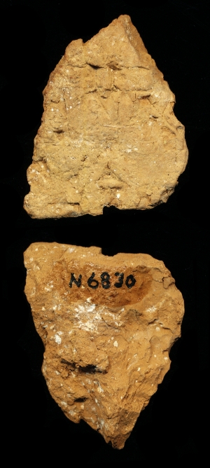 N6830