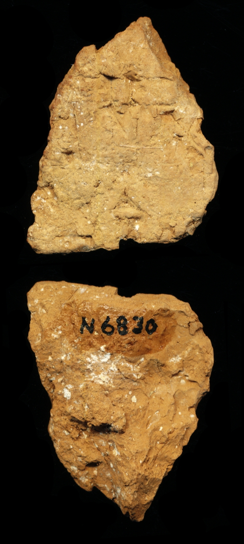 809774