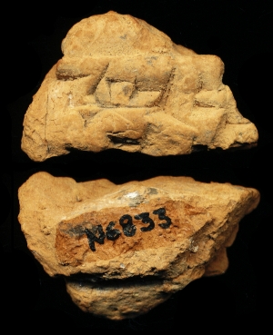 N6833