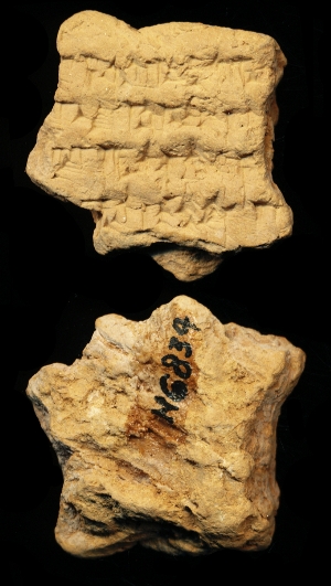 N6834
