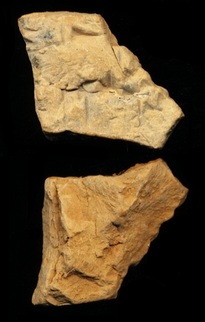 N6838