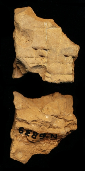 N6839
