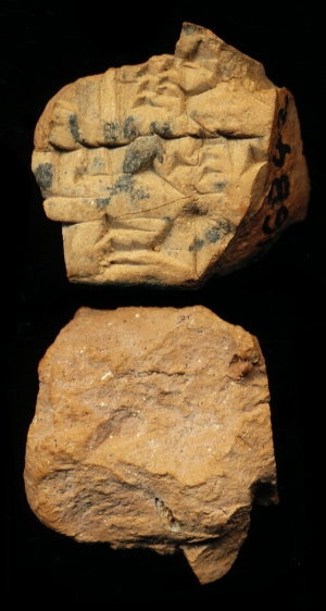 N6842