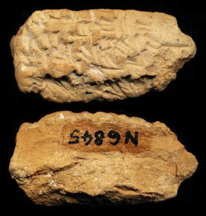 N6845